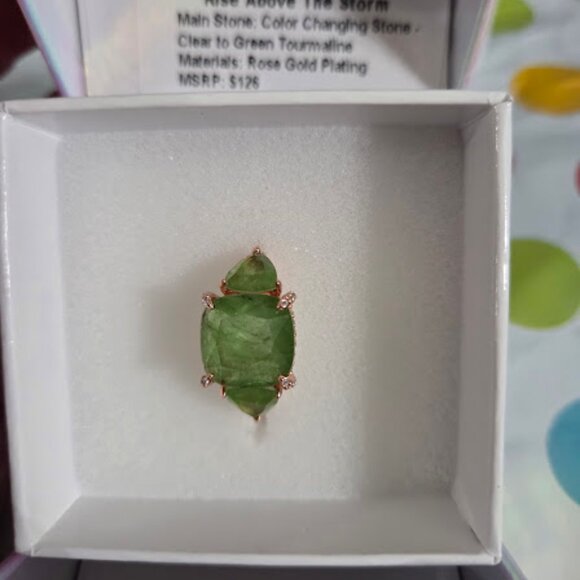 RG24589 RISE ABOVE THE STORM SIZE 9 - Picture 2 of 2